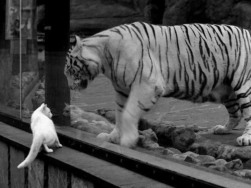 _快船迎前所未有的挑战，全队团结一致_，快船队介绍