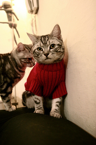 KAIYUN 中国大陆-_沙漠越野汽车：掌控荒原的速度与力量_，沙漠越野体验