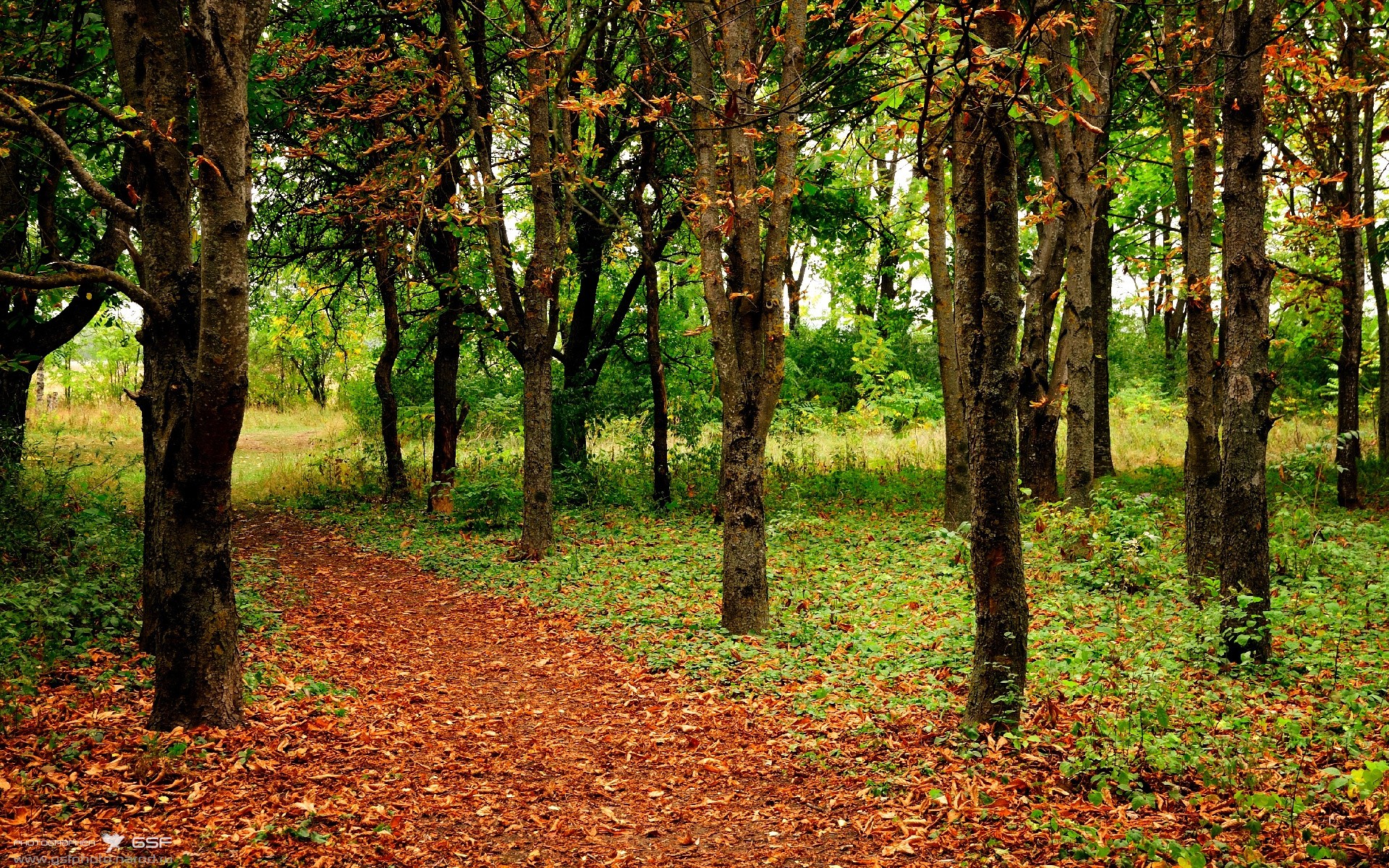开云kaiyun-“传奇巨星：乔丹、科比的经典瞬间大集合”，科比跟乔丹打拿55分