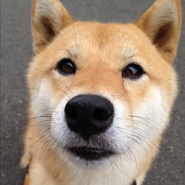 中国足球场馆智能安检系统实现全覆盖,保障赛事安全,足球比赛场馆