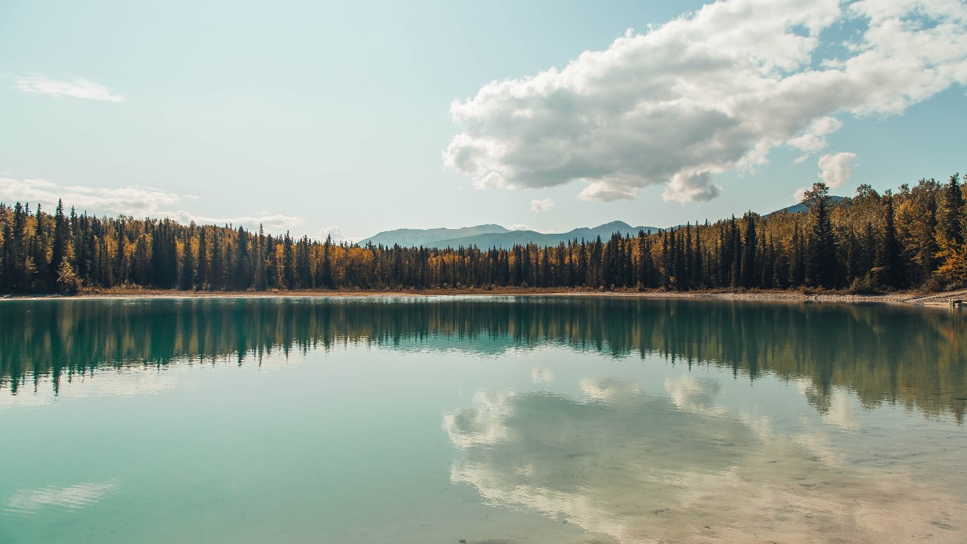 传统与现代结合的篮球元素，成为文化新符号，篮球传统项目