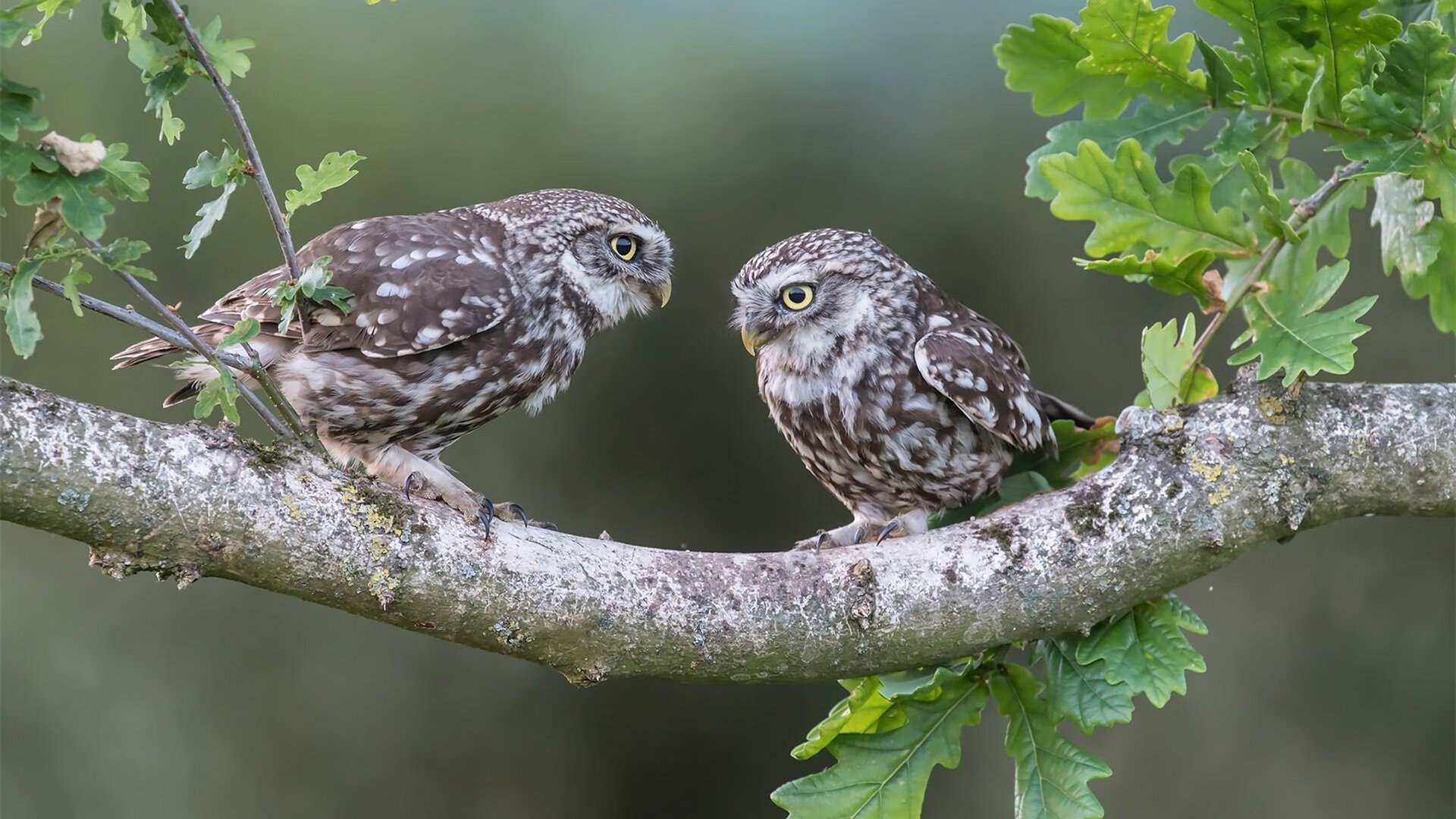 日本队后防线表现出色，日本队赛后