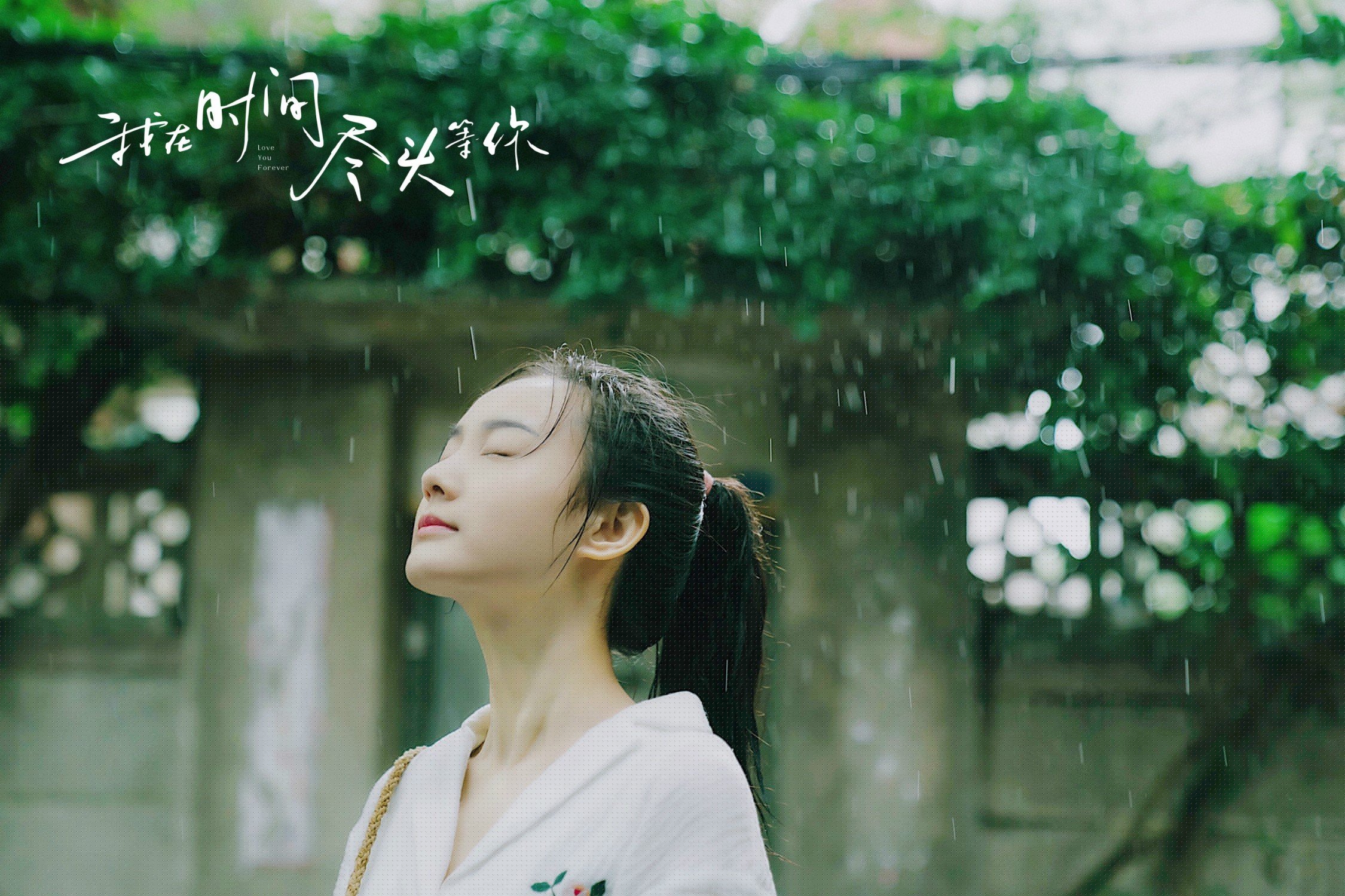 粉丝投票:哪个车手最具潜力?,最著名的车手