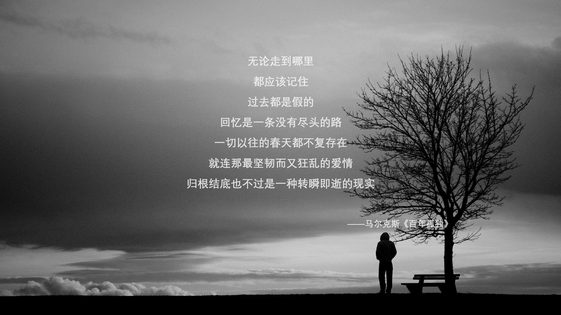 阵容调整带来的巨大变化:谁是赛季最大黑马?,阵容排行