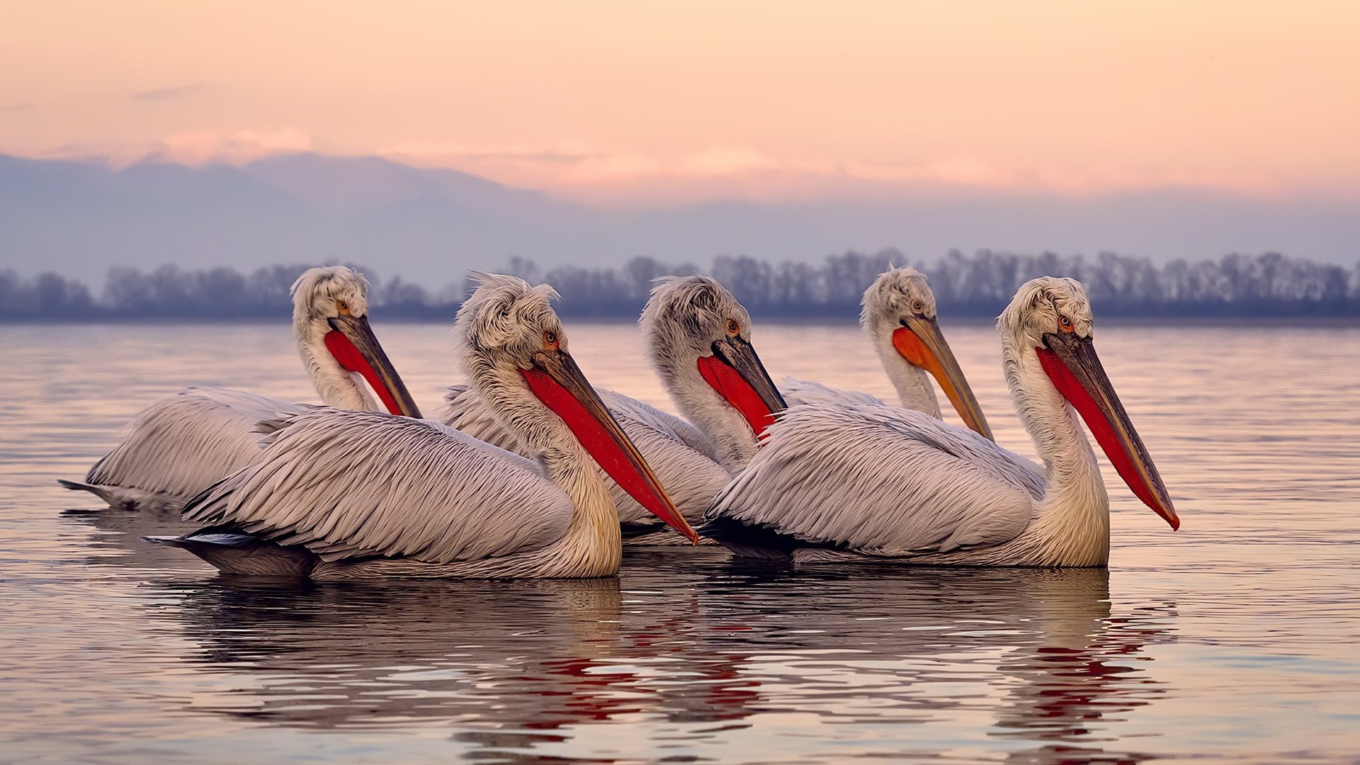 勇士队球队赛季防守数据创新高,勇士队球队赛季防守数据创新高的是谁