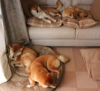 瑞典马德里战记 测试球队实力前景 欧预赛在即,德国瑞典比赛