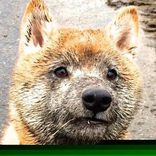 队伍势均力敌展开搏杀,比赛场面精彩纷呈,一场势均力敌的比赛