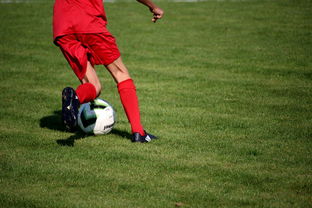 开云kaiyun-意甲裁判语义分析系统在比赛判罚中的应用研究，意甲第三轮裁判