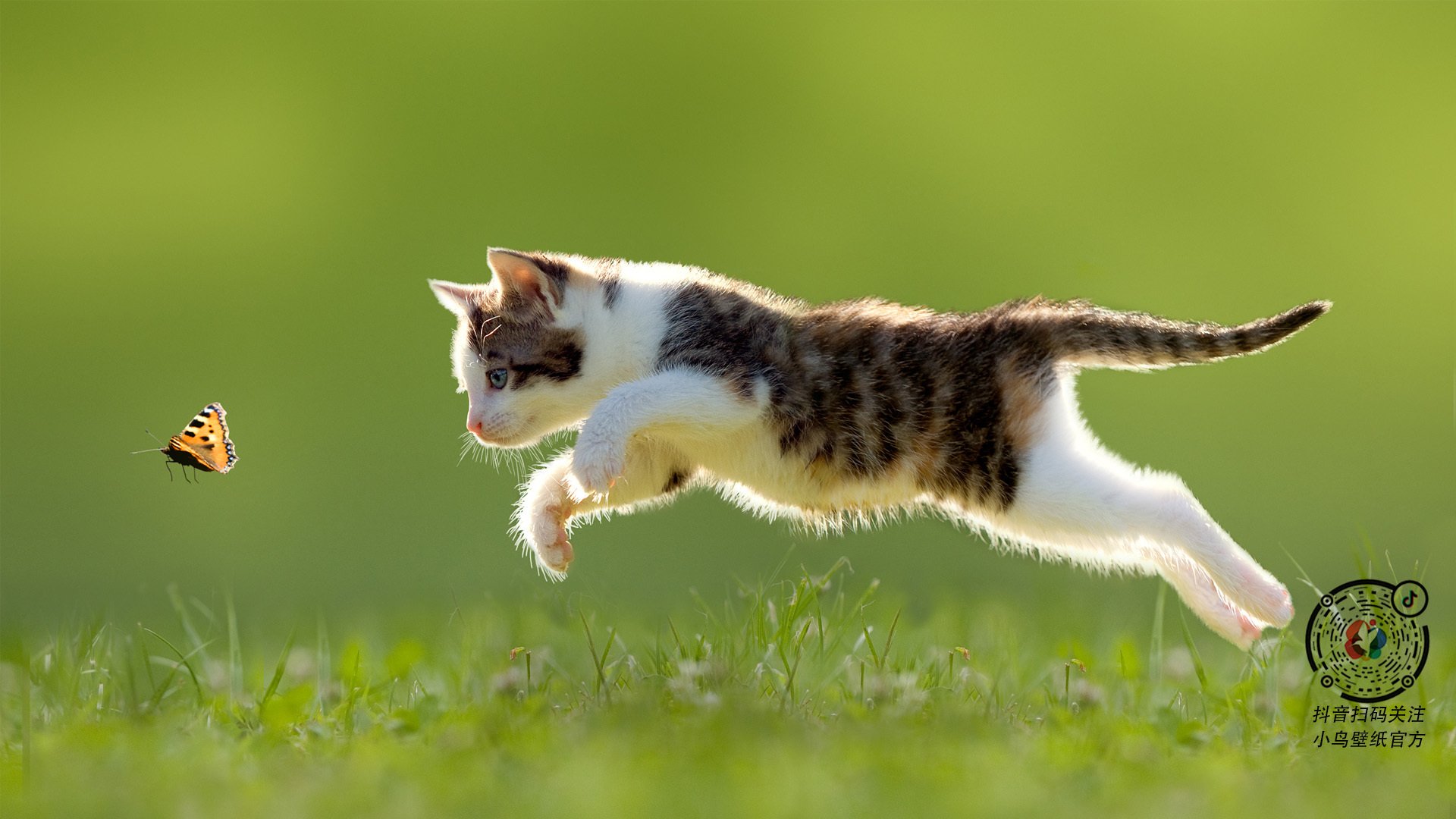 青少年体育运动中的安全教育对策，青少年体育运动中的安全教育对策有哪些