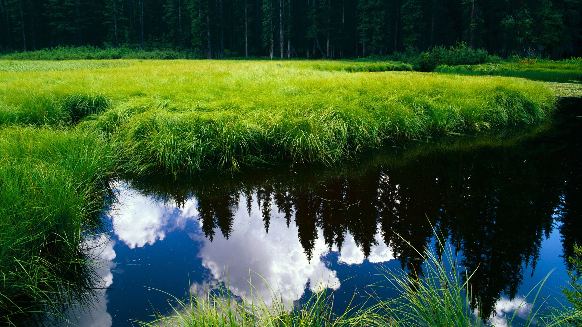 五大联赛球队更换主力阵型频率是否与战绩相关,五大联赛球员变动