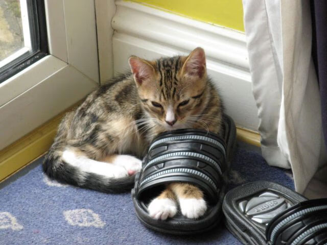 开云·Kaiyun网页版-切尔西加强高位逼抢提升防线厚度，切尔西太强了