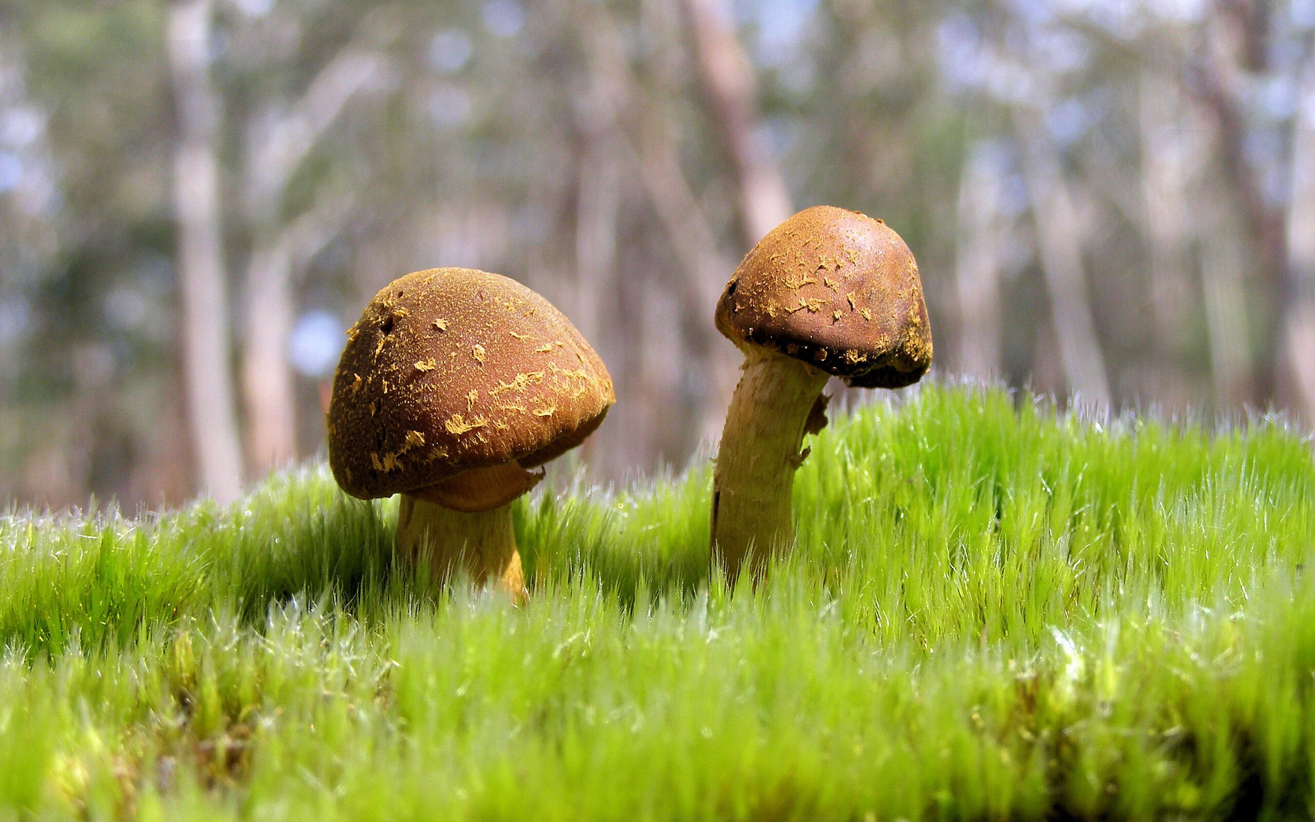 广东队老将发挥稳定引领年轻球员成长,广东队现役球员