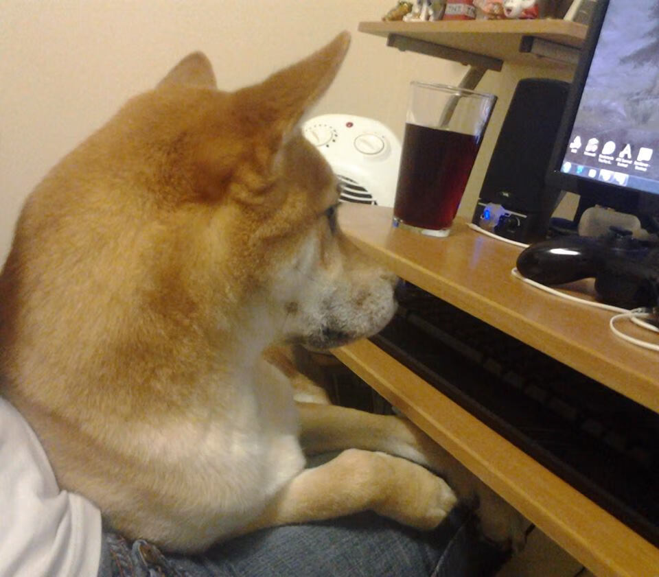 归化球员话题再起中国篮球是否应引入外援新政,中国篮球联赛外援规则