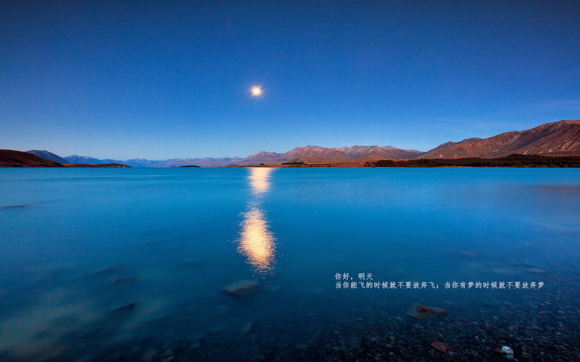 中国足球职业俱乐部球员转会市场活跃度增强，中国足球球员转会费排名