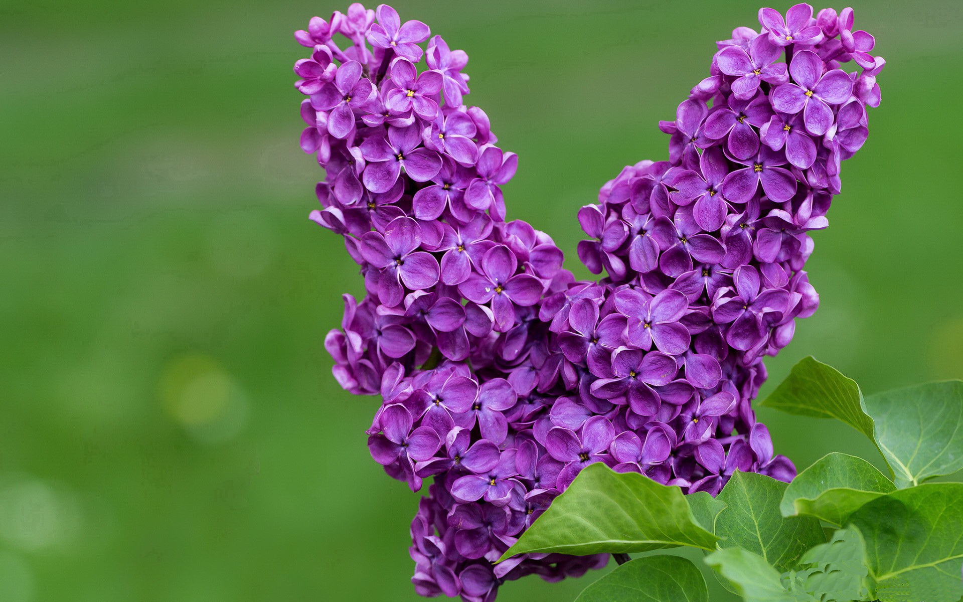 中立代表队B挑战强敌展现风采，中立选手