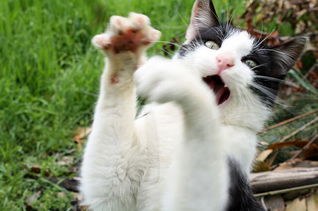 开云官方网页登录-中学篮球积极开展篮球主题教育丰富体育内容，中学生篮球培训