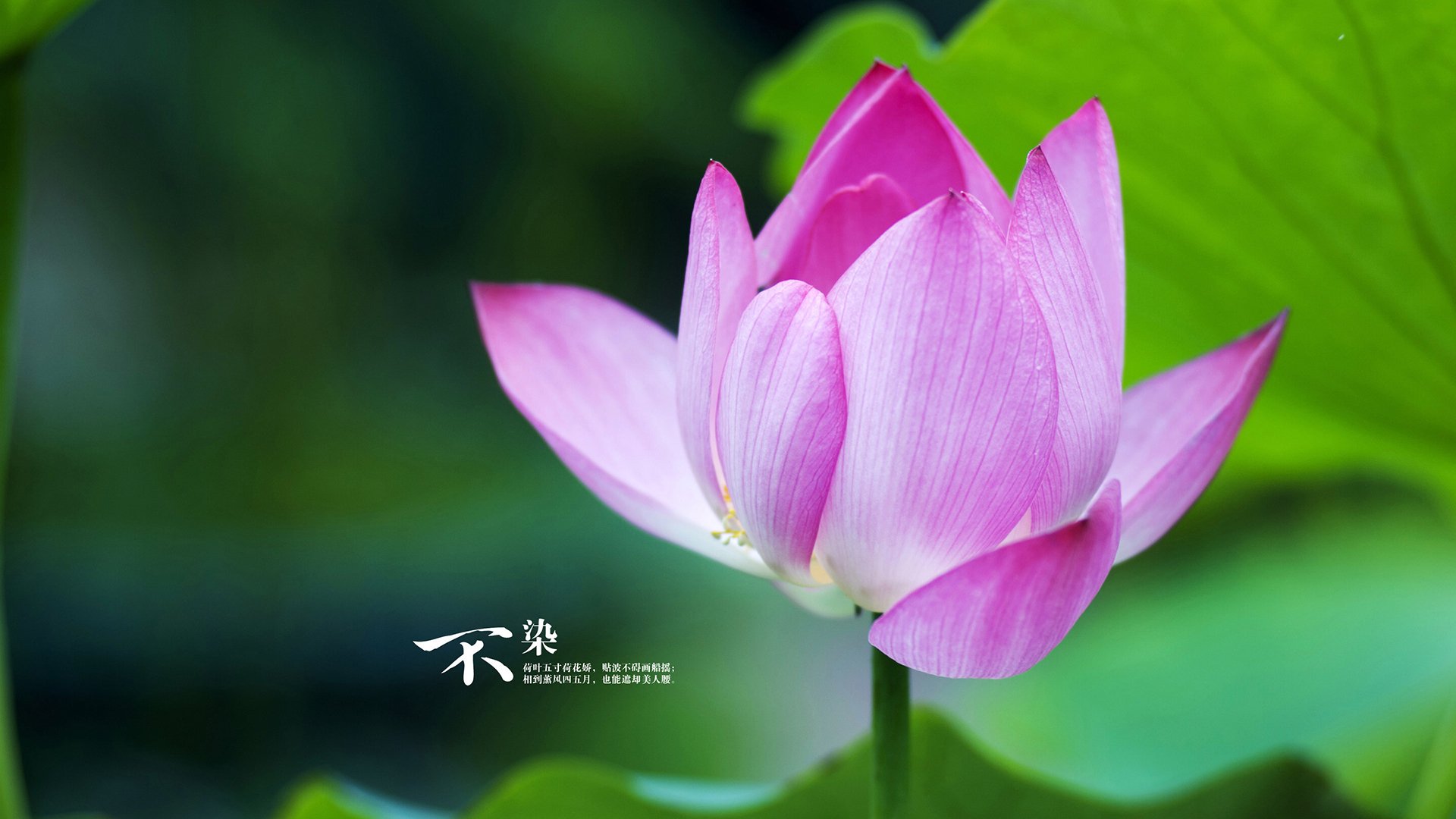 开云官网-中超重返高人气赛场体现球迷忠诚重燃，中超重启方案再调整