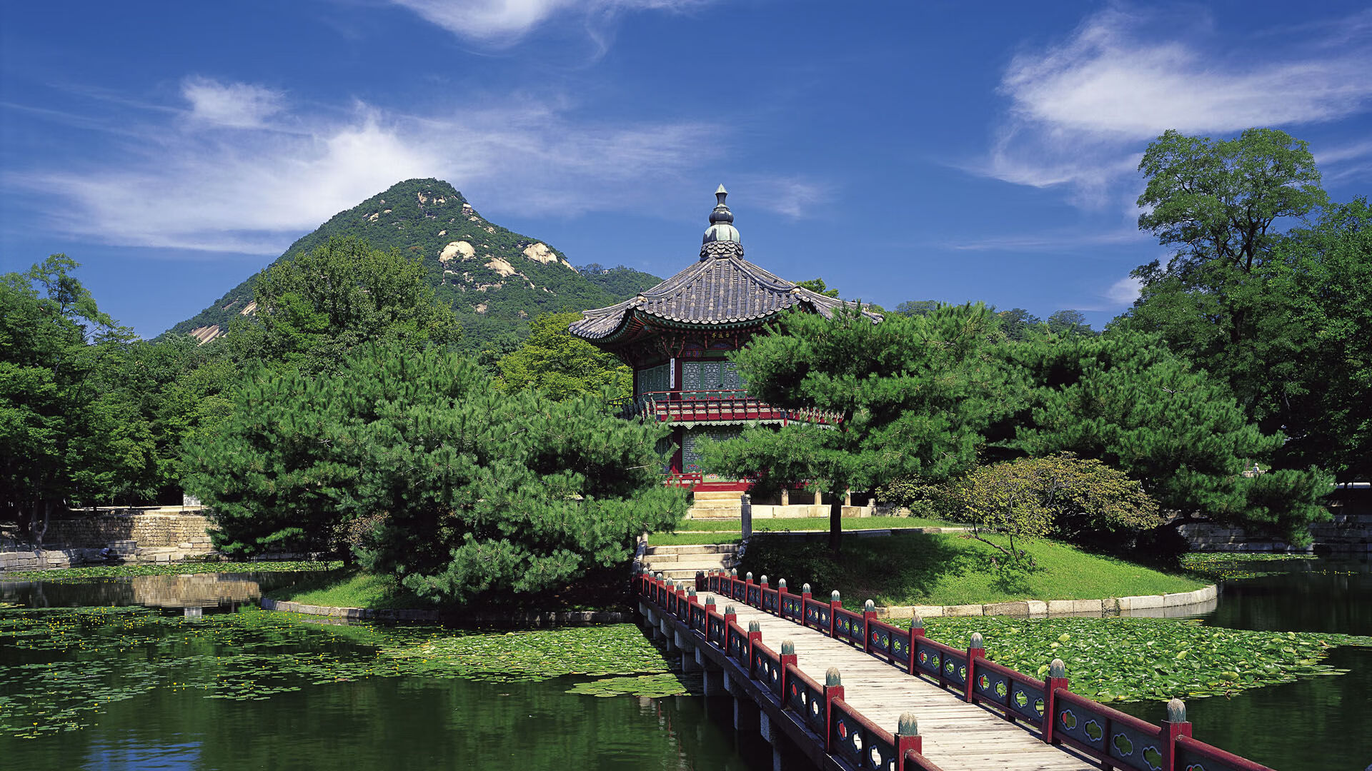 多功能足球场设计新理念，融合城市景观和休闲体验，多功能球场造价