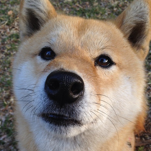 开云官方网站-欧洲杯变阵奇妙：战术多变，令人期待！，欧洲杯爆冷出局