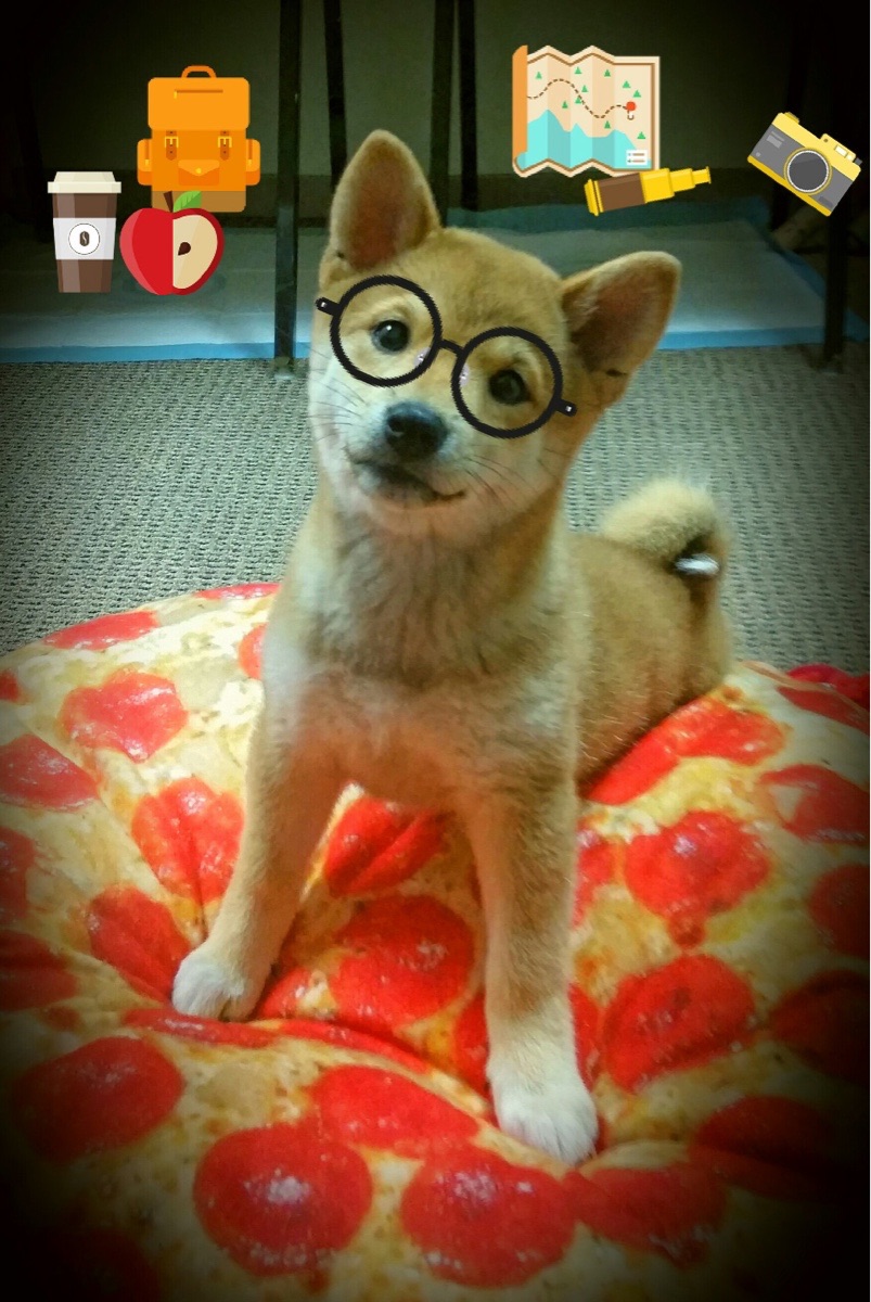 泰国女篮在亚洲锦标赛上突破自我，争夺奖牌