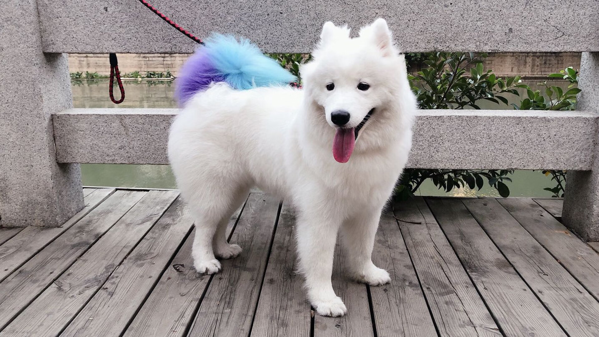 现场应援道具创新形式增强互动体验带动球迷情绪,应援道具有哪些