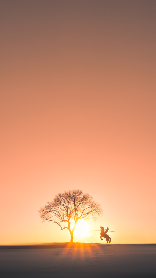 美洲杯劲战不断:绝杀那一瞬间令人心跳加速,美洲杯决赛用球