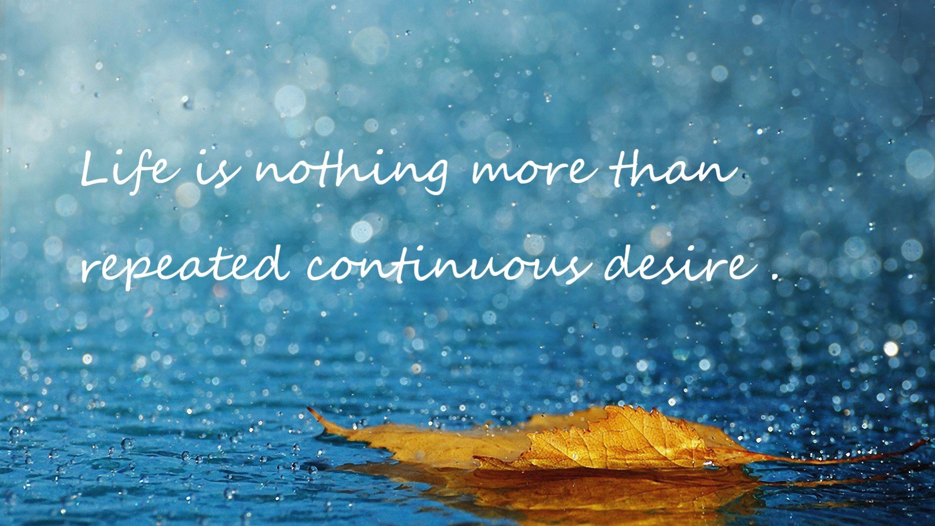 荷兰双人跳水组合发挥亮眼,荷兰跳水运动员